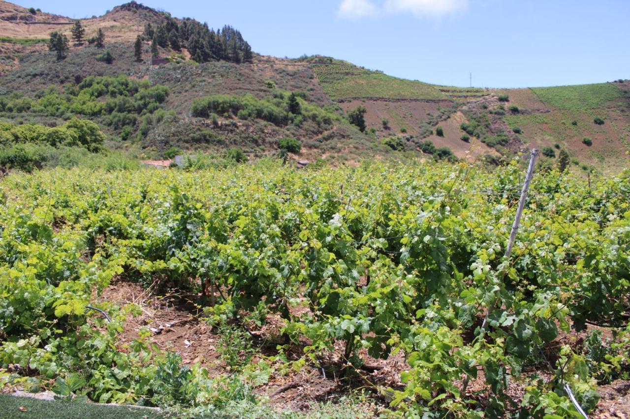 Finca El Cole Villa Las Palmas de Gran Canaria Bagian luar foto