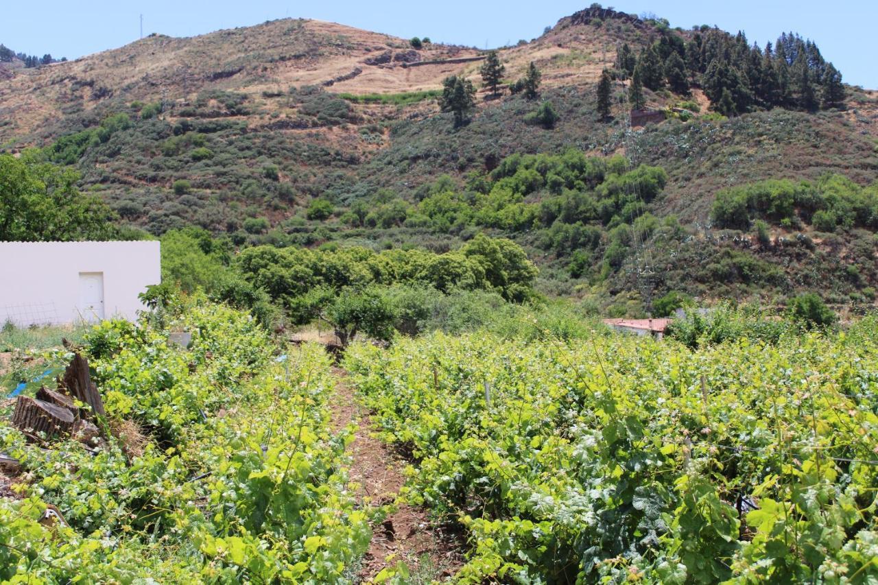Finca El Cole Villa Las Palmas de Gran Canaria Bagian luar foto