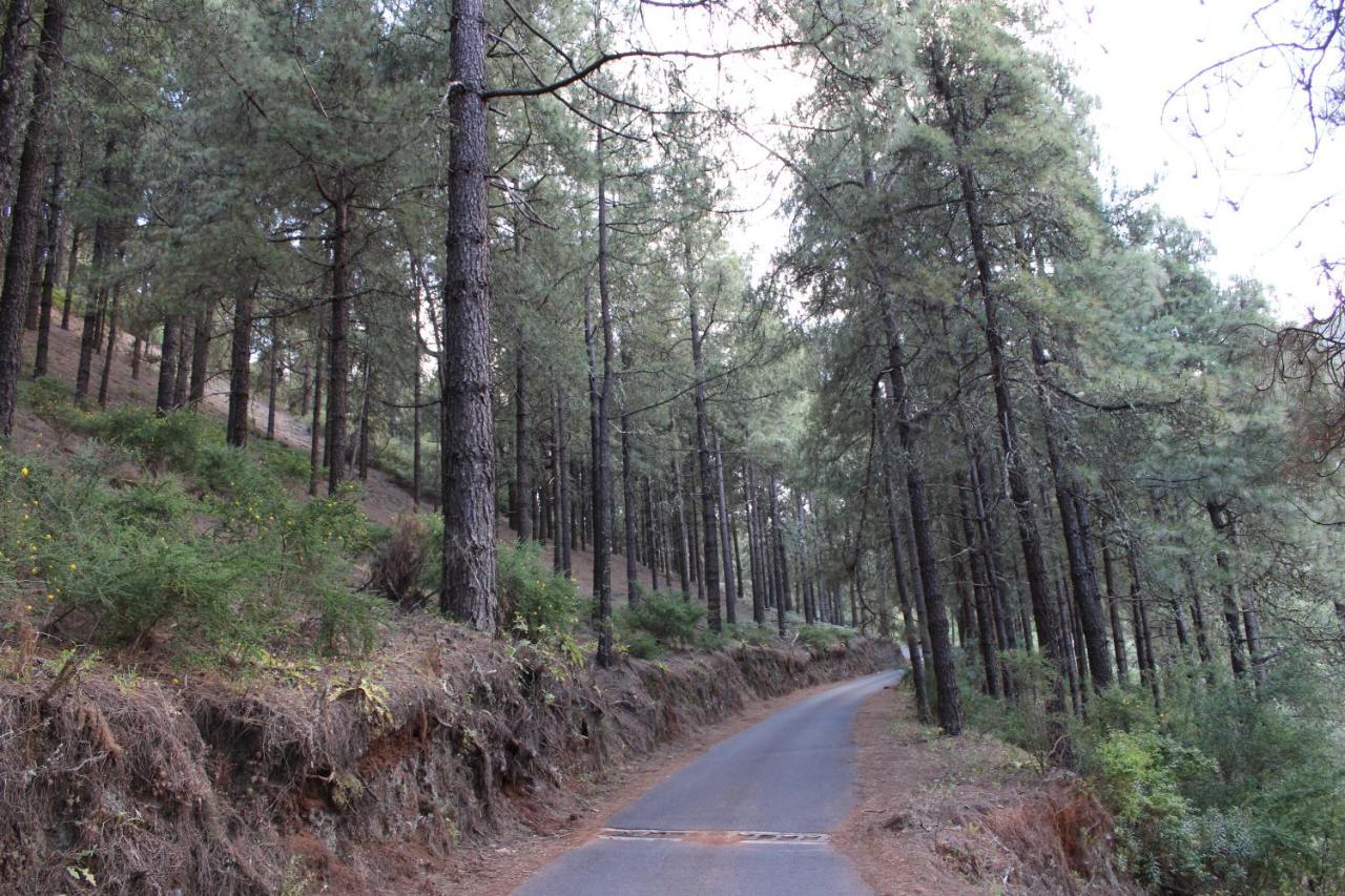 Finca El Cole Villa Las Palmas de Gran Canaria Bagian luar foto
