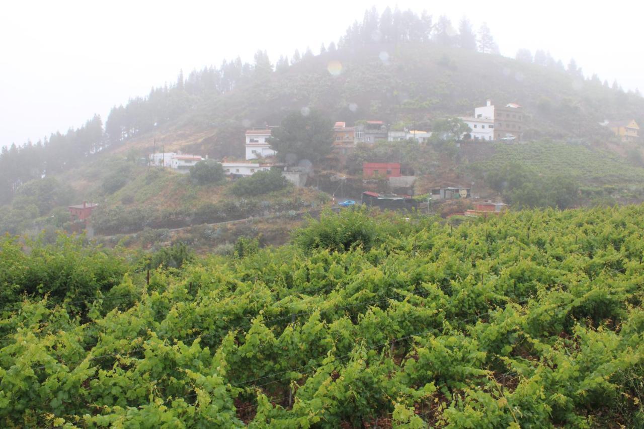Finca El Cole Villa Las Palmas de Gran Canaria Bagian luar foto