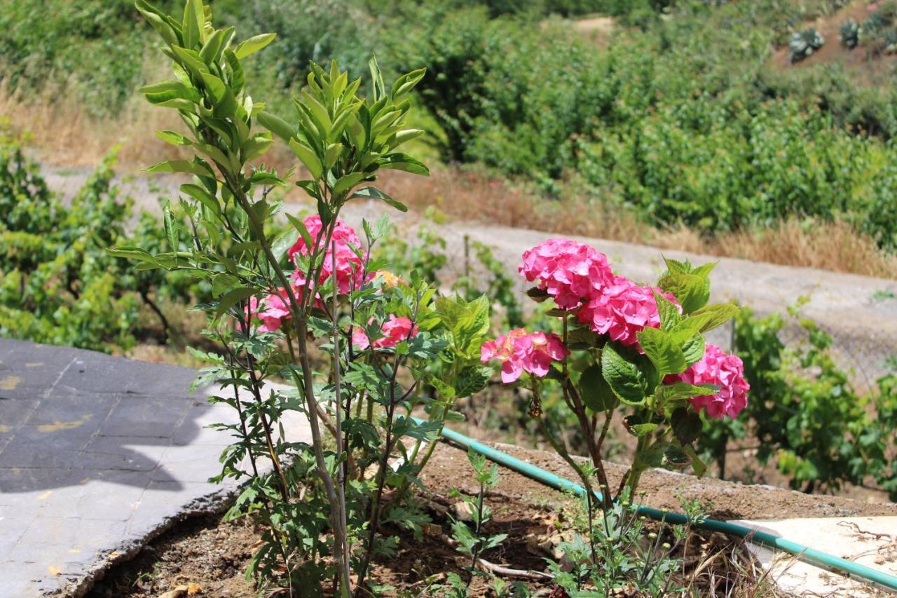 Finca El Cole Villa Las Palmas de Gran Canaria Bagian luar foto