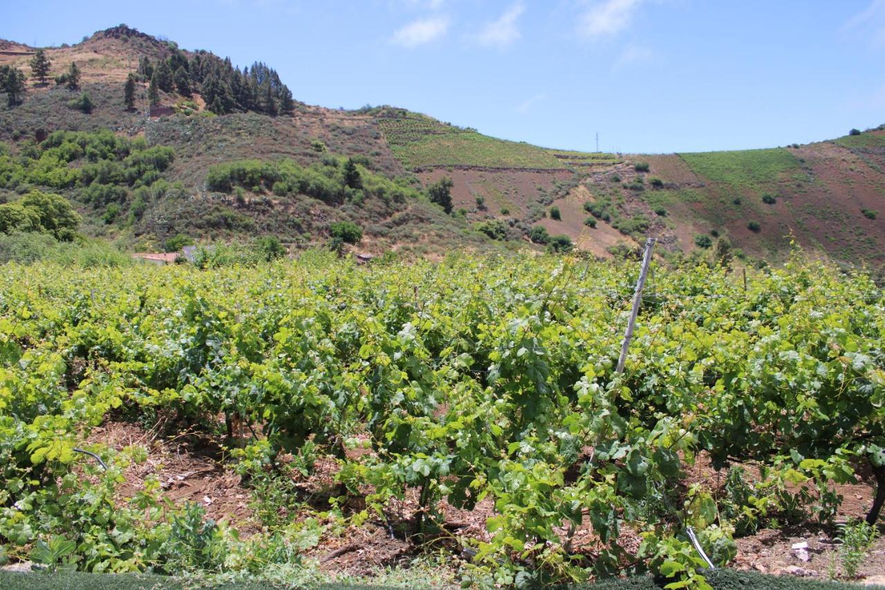 Finca El Cole Villa Las Palmas de Gran Canaria Bagian luar foto