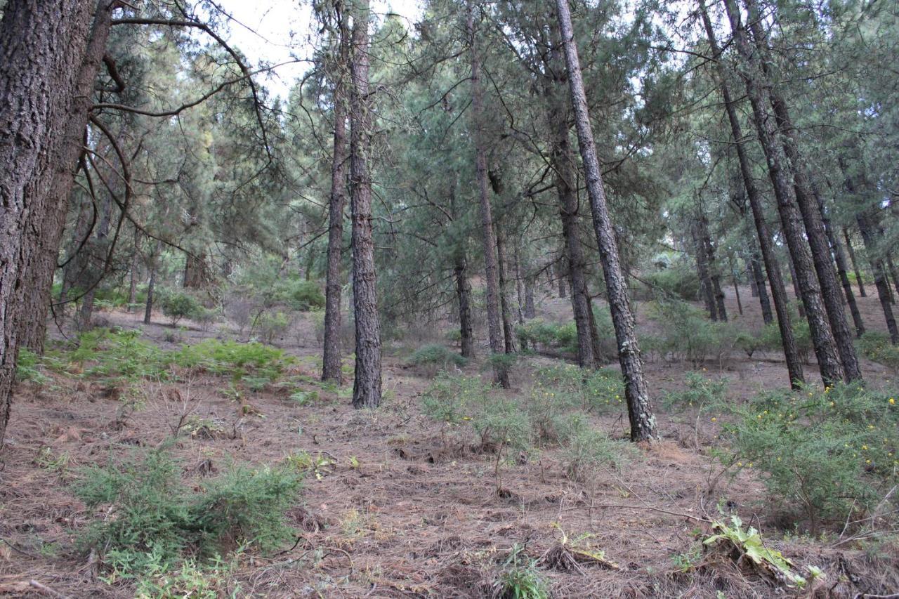 Finca El Cole Villa Las Palmas de Gran Canaria Bagian luar foto