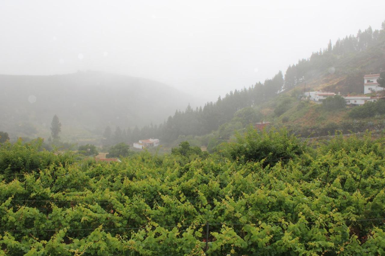Finca El Cole Villa Las Palmas de Gran Canaria Bagian luar foto